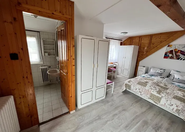 A Festo Vendeghaza / The Painter\'S Guest House