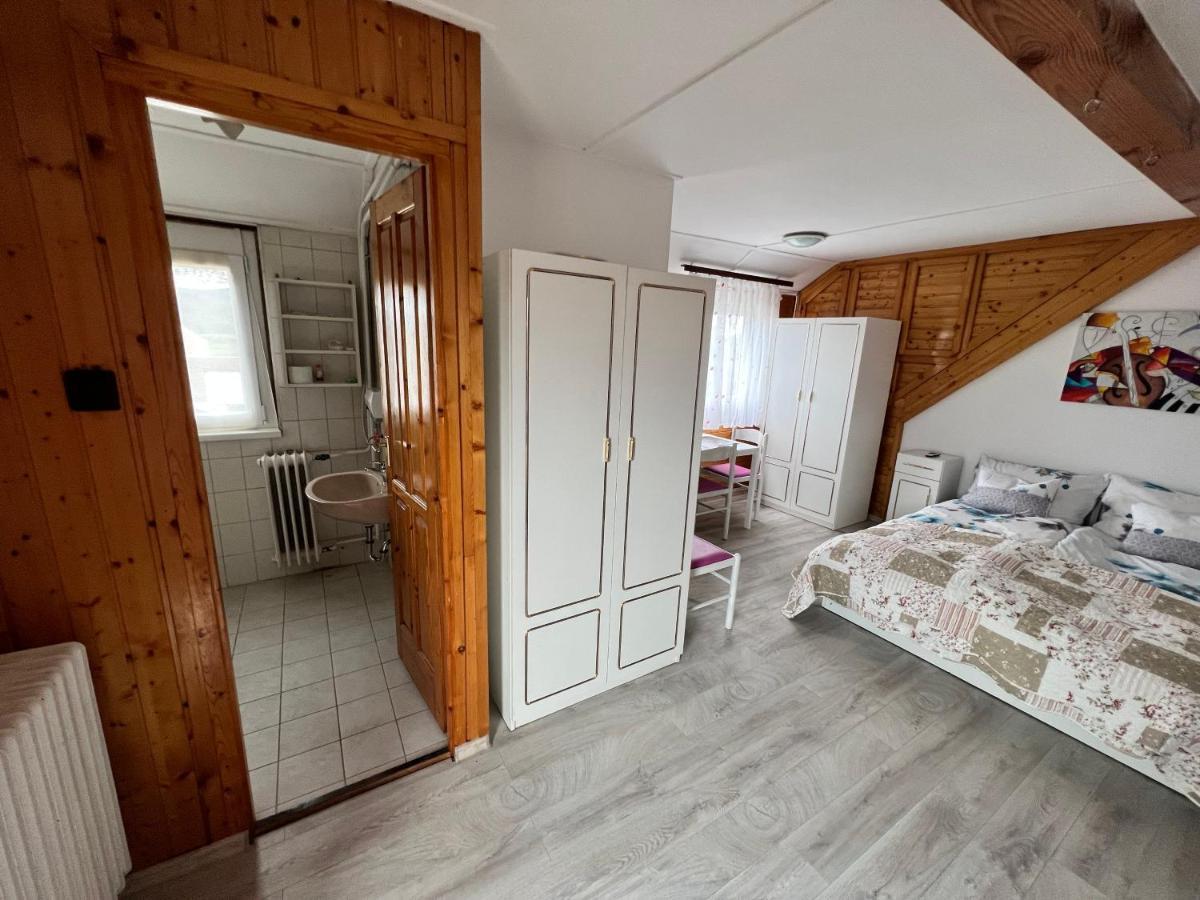 A Festo Vendeghaza / The Painter's Appartement