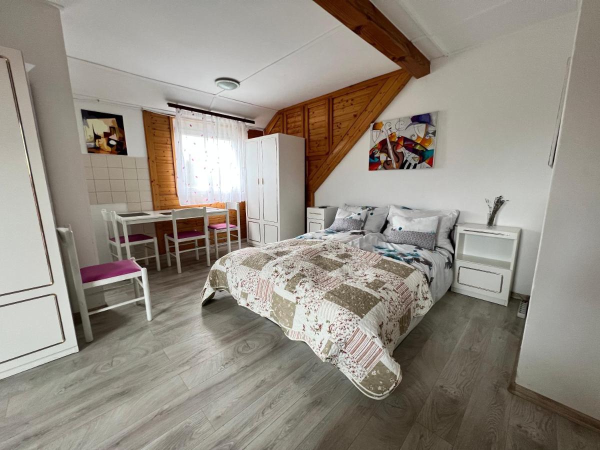 A Festo Vendeghaza / The Painter's Apartment Zanka