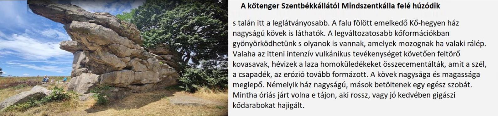 A Festo Vendeghaza / The Painter's * Занка